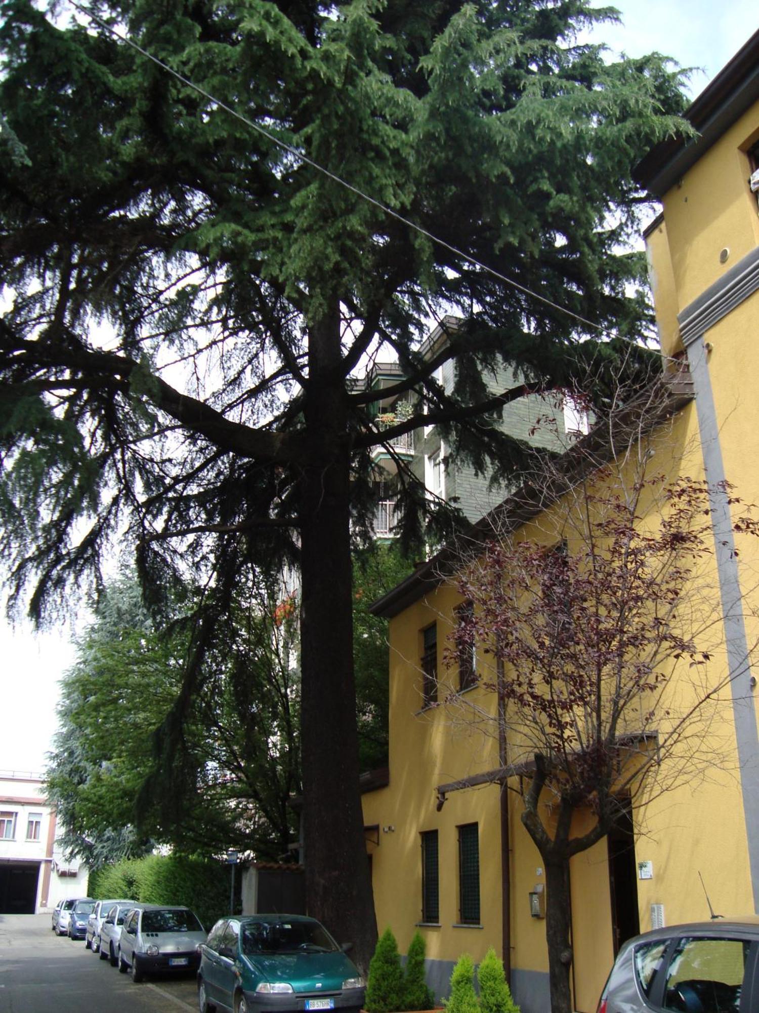 Residence Il Pino Saronno Luaran gambar