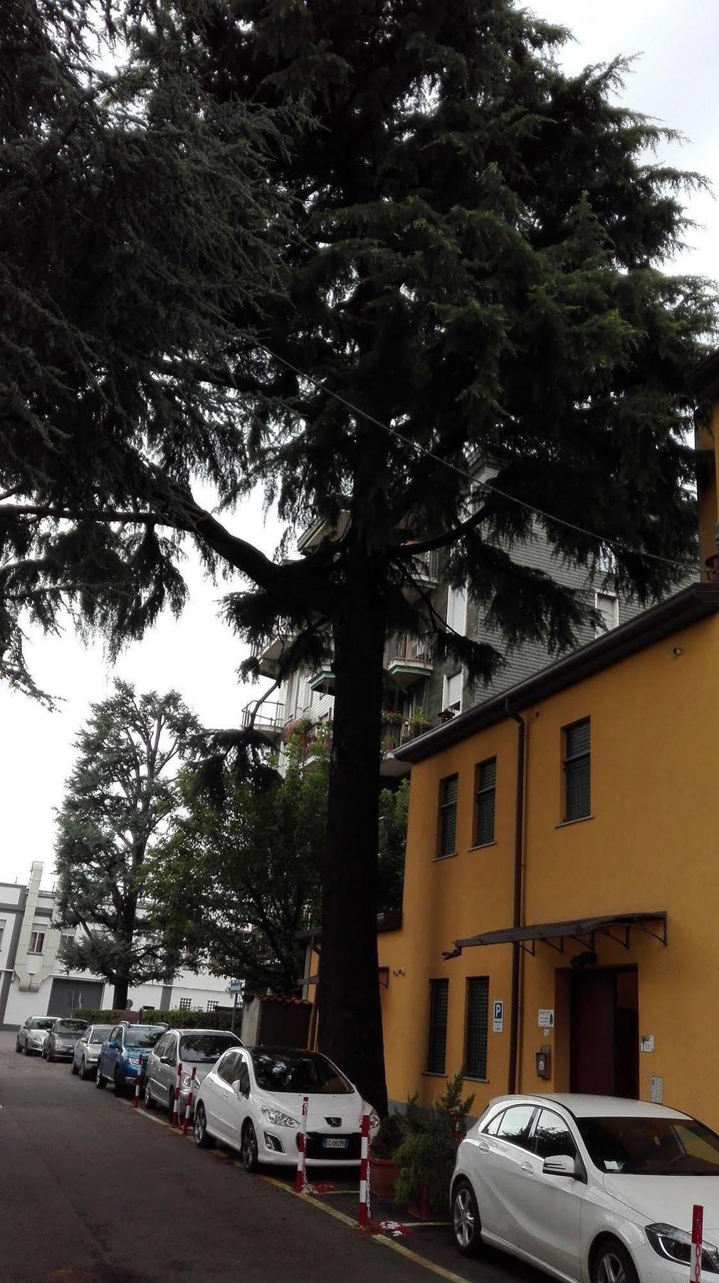 Residence Il Pino Saronno Luaran gambar
